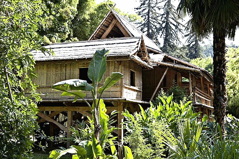 architecture_bambou_bamboo_construction_building_moso_guyane_guyana